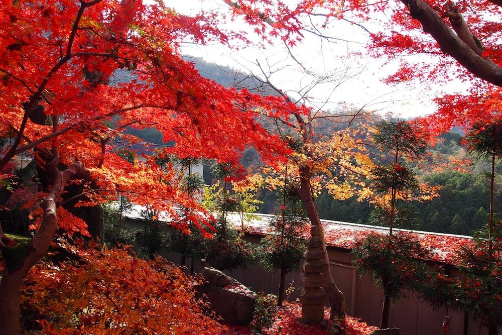 Ryokan Nenrinbo Kyoto Exterior photo